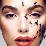 Beauty Vol 2
