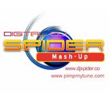 Spider's Mash-Up Radio Show Pt. 01