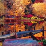 AUTUMN 2015 (Mixed by D&mON)