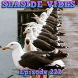 SEASIDE VIBES 222