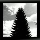 Philosopheon - Funeralis. Mater, Requiescat in Pace