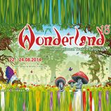 Sascha Flux at Wonderland Festival 2014