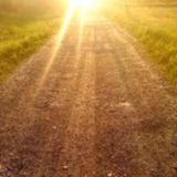 Phantom Circuit #141 (1st June 2014): Sun streams through