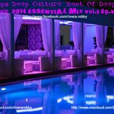 `Aya Napa Deep Culture` Best Of Deep House Music 2014 ESSENTIAL MIX Vol.I Ep.VI.