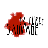 La Force Sauvage - 26 - Nueva Cumbia (Rooms of Redbull Radio Series)