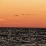 Stationary Travels – The Ocean Inside