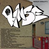 MR RINSE - HEDGLEY JUNGLE MIX PT3
