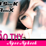 NgocNghech-BaoThy RMX By DJ SharK