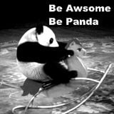 PandaDanze - Dougles Beaverton Promo