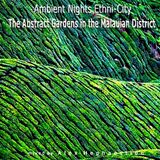 Ambient Nights - Ethni-City CD12-The Abstract Gardens in the Malauian District