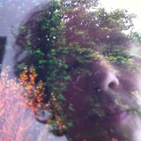 Psychowandering