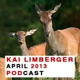 Kai Limberger Podcast April 2013
