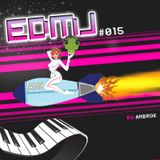 EDM Journey 015