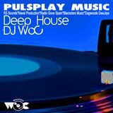 Deep House Grove Radio Show by DJ WoC Spain 02_2013