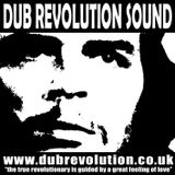 revolutionary mix