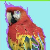 Que rrrico MOOMBAHTON!