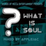 What Is Soul?
