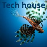 Tech House