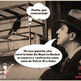Volver Ni A Palos 2014 - programa 8 (15 de julio)