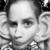 Magical Musical Monday's HSR-DJ Bill Kelly (04_11_2016)