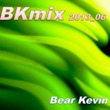 BKmix2013_No.6