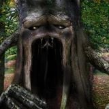 May 2014 Psy Forest Mix: Tales Of The Cursed Tree IV