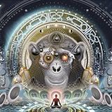 GuyZapPa - Lost Theory 2014 Ambient Garden Part 1