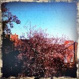 Folkwit Radio #5