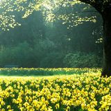ManoMIKSAS 019: A Spring View