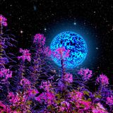 E.P.T. - ElectroPopTrippin
