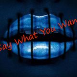 Sikfunk - Say What You Want