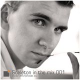 Sceleton in the mix 001