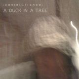 A Duck in a Tree 2014-04-19 | Sparklight Storm Aspect