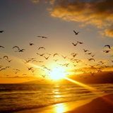 Magic Sunset 058