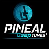 #1 Pineal Deep Tunes