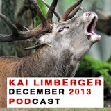 Kai Limberger Podcast December 2013