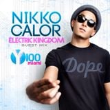 Nikko Calor- Y100 Electric Kingdom Guest Mix 2014