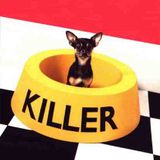 DnB Killer sound