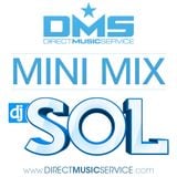 DMS Mini Mix 2014