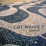 "— Got waves?" vol.1
