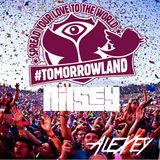 Nilsey - Tomorrowland 2013 Mix (AleXey's part)