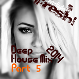 *DeepFresh* || Deep House Mix 2014 *Part 5*