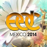 Discovery Project: EDC Mexico 2014