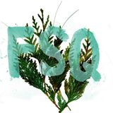 FSQ Mix Session 014