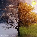 Soul Mondays #005 - Couldn't Stand the Weather