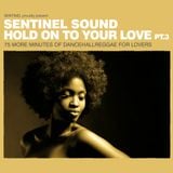 Sentinel Sound - Hold On To Your Love Pt 3