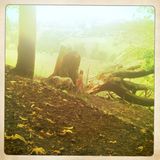 Create 52 - Week 47 - The Field Recording