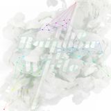 RDO80 - The Rainbow is White - 2012_01