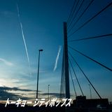 140214_Tokyo_City_Pops