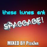 These Tunes Ent Spaggage Episode Twenty Five (The Final Episode)